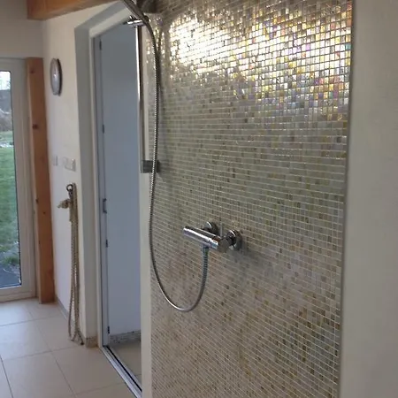 Luxury With Indoor Pool Davle